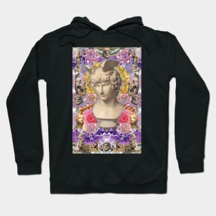 mercury dreams of amethyst olympus Hoodie